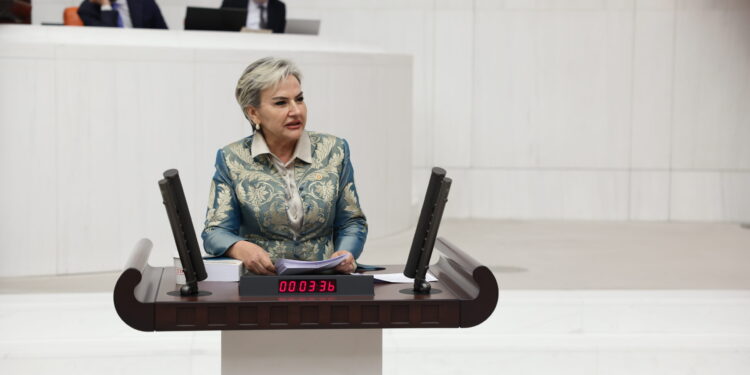CHP’li Nimet Özdemir’den KKTC Seçimlerine İlişkin Çağrı: “Türkiye Tarafsızlığını Korumalı”