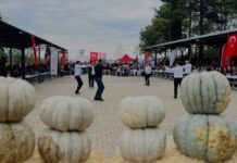 Vali Sözer, Kızıldamlar Köyü 8. Kestane Kabağı Festivali’nde Üreticilerle Buluştu“Kızıldamlar, Bilecik tarımının bereketli yüzü”