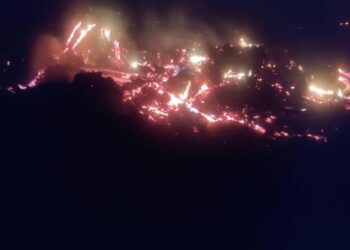 Pazaryeri’nde Çiftlik Arazisinde Çıkan Yangın Hızla Söndürüldü