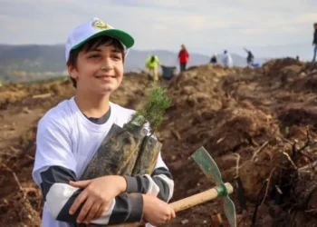 Vali Sözer: “Diktiğimiz Her Fidan, Geleceğe Umut, Doğaya Nefes Olacak”11 Kasım Milli Ağaçlandırma Günü’nde 5.000 Fidan Toprakla Buluştu