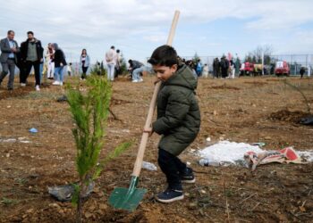 Pazaryeri Geleceğe Nefes Oldu 11 Kasım Milli Ağaçlandırma Günü’nde fidanlar toprakla buluştu