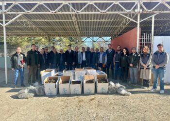 Pazaryeri’nde  Çilek Üretimi İçin Büyük Adım: 42 Bin Fide Çiftçilere Dağıtıldı