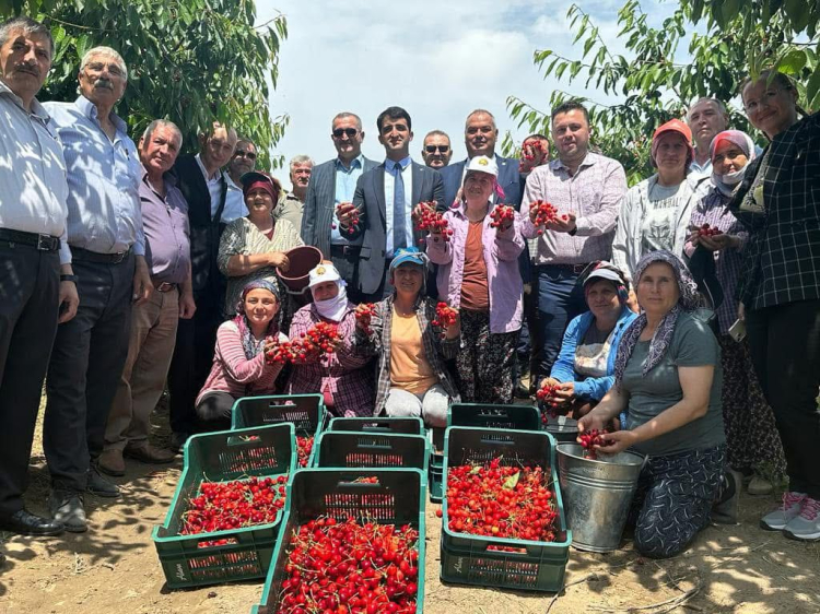 Çeribaşı Kirazı’na coğrafi işaret tescili
