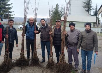 Pazaryeri’nde Meyveciliğe Güçlü Destek: 450 Meyve Fidanı Çiftçilerle Buluştu