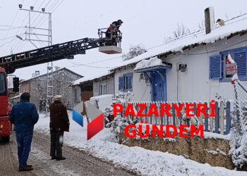 Karlı Çatıda Can Pazarı: Minik Köpeği 112 ve İtfaiye Kurtardı