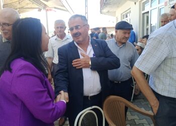 Sarıdayı Köyü Eski Muhtarı Servis Minibüsünün Çarpmasıyla Yaralandı