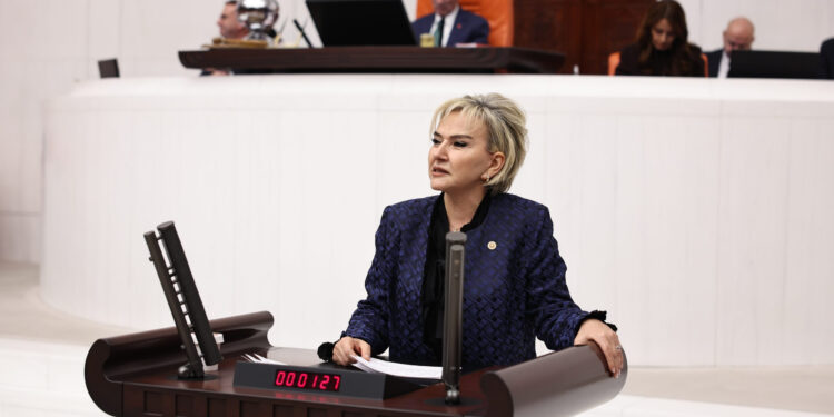 Kadın Cinayetleri Araştırılsın Önergesine TBMM’de Ret