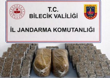 Pazaryeri’nde 13 bin 580 makaron ve 10 kilo kıyılmış tütün ele geçirildi