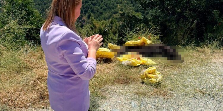 BAŞKAN TEKİN’DEN YOL KENARINA BIRAKILAN HAYVAN LEŞİNE SERT TEPKİ