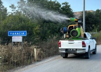 HAŞERELERE KARŞI İLAÇLAMA ÇALIŞMASI YAPILDI